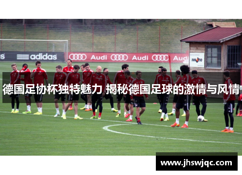 德国足协杯独特魅力 揭秘德国足球的激情与风情 德国足协杯独特魅力 揭秘德国足球的激情与风情